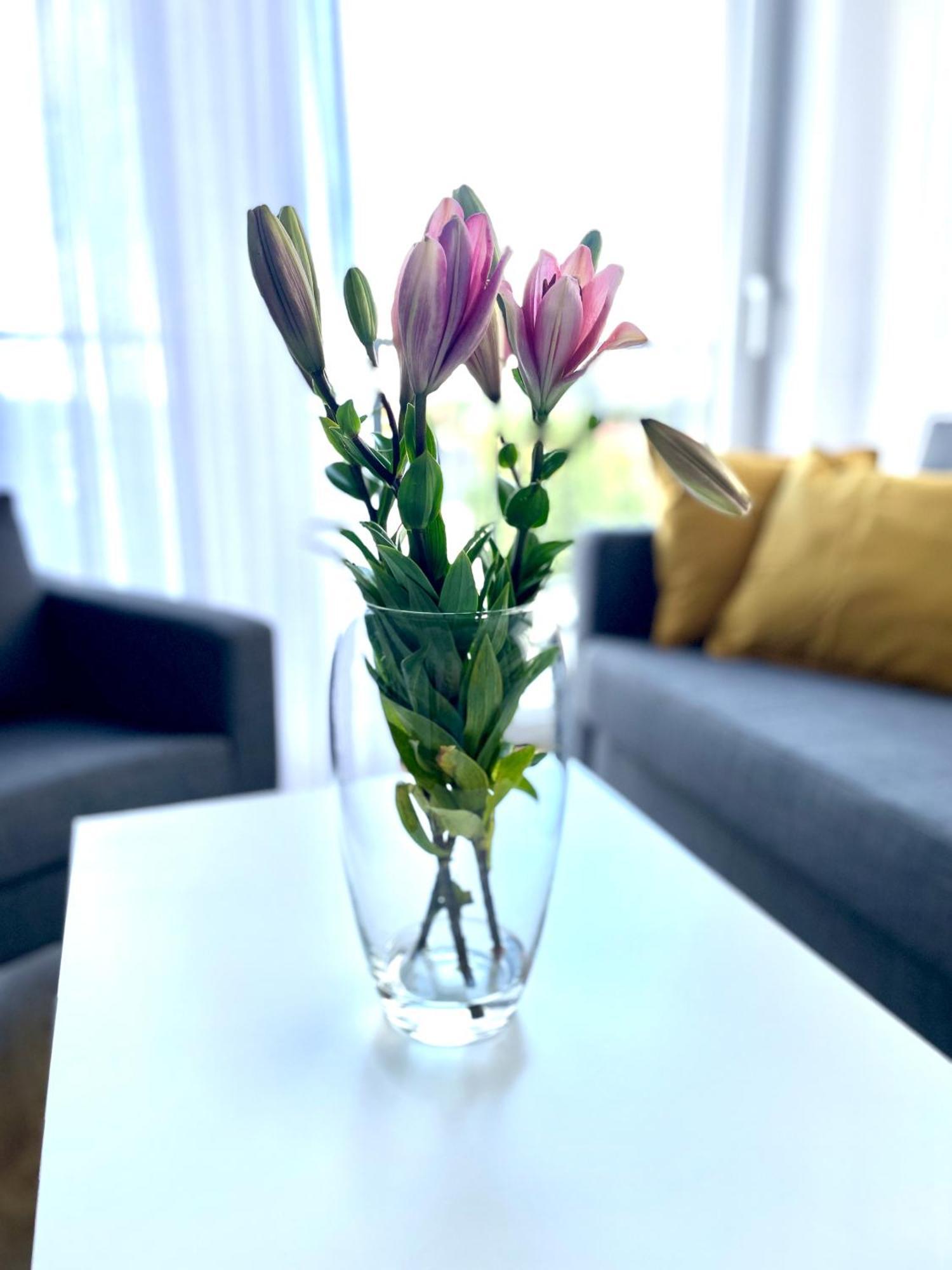 Apartament Sonja Zator Zewnętrze zdjęcie